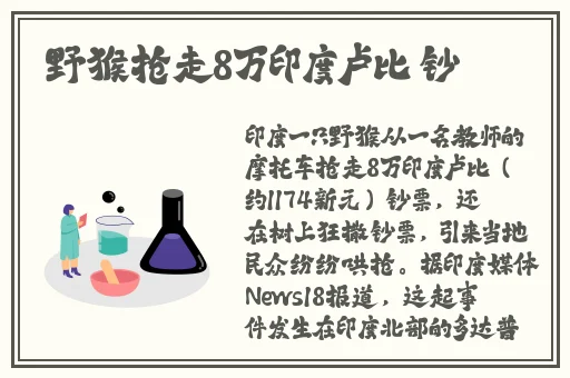 爱情岛论坛网亚洲品质自拍